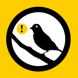 canary-1-sq.png